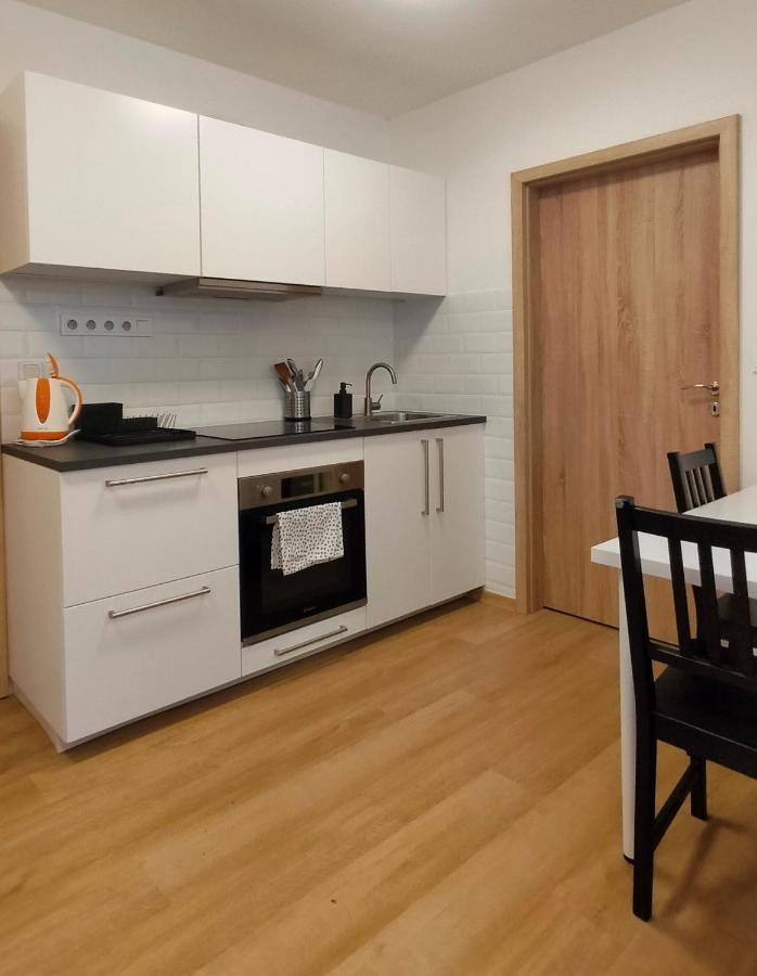 Apartment Stankova Брно Экстерьер фото